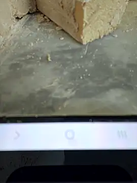 Snapshot of seloloko20 chatting on December 2025 08:08:02 AM seloloko20 online show from December 2025 08:08:02 AM