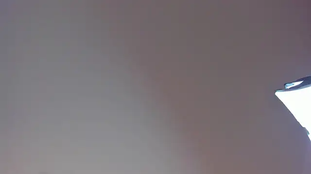 Laurent Williams online show from December 2024 10:02:02 PM