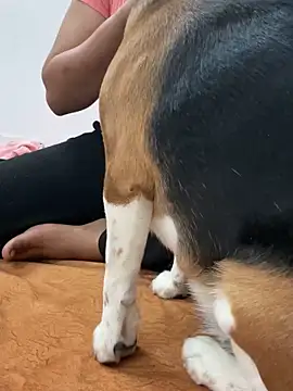 Snapshot of sissarahotty chatting on February 2025 11:21:02 PM sissarahotty online show from February 2025 11:21:02 PM