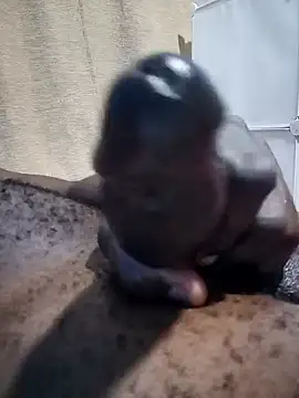 Dick undisputed online show from December 2024 09:59:02 AM