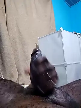 Dick undisputed online show from January 2025 01:17:01 AM