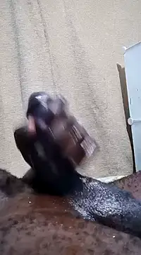 Dick undisputed online show from January 2025 12:19:02 AM