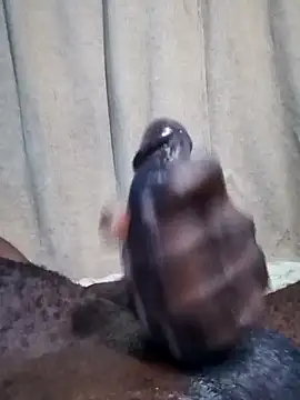 Dick undisputed online show from January 2025 08:13:02 AM