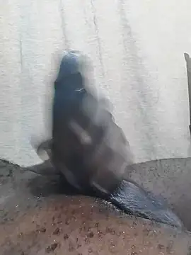 Dick undisputed online show from February 2025 12:16:02 PM