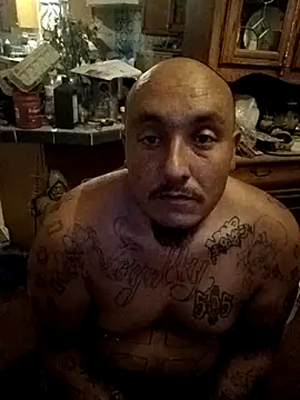 wilsons12 online show from November 2025 05:30:02 AM