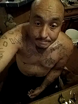 wilsons12 online show from November 2025 02:00:01 AM