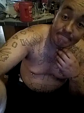 wilsons12 online show from December 2025 04:03:01 PM