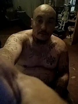 wilsons12 online show from April 2026 04:39:01 AM