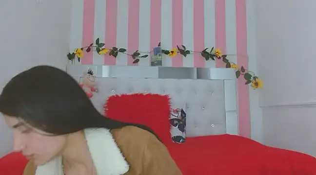 BulmaStar online show from January 2025 02:42:02 AM