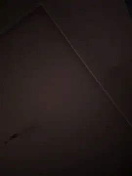 eddy355 online show from October 2025 09:31:02 PM