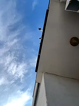 eddy355 online show from November 2025 09:51:02 AM