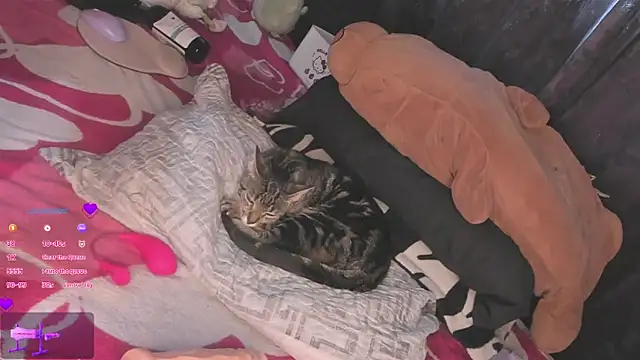 Snapshot of MiaGoth_ chatting on September 2025 09:14:02 PM MiaGoth online show from September 2025 09:14:02 PM