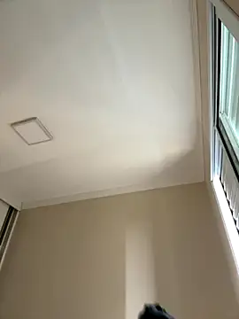 Blue butterfly online show from November 2025 07:16:02 PM