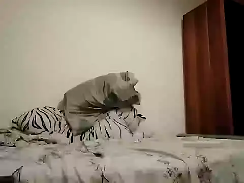 Yasha3465 online show from December 2024 12:19:02 AM