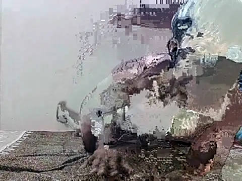 Snapshot of HunkyAriyan chatting on November 2025 01:44:01 PM HunkyAriyan online show from November 2025 01:44:01 PM