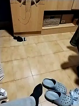 minitranca online show from October 2025 11:20:02 PM