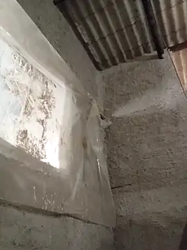 strip 1212 online show from November 2025 02:55:02 PM