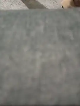 strip 1212 online show from March 2026 06:08:01 AM