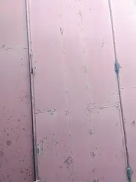 Snapshot of Polygamist chatting on December 2025 07:46:02 AM Polygamist online show from December 2025 07:46:02 AM