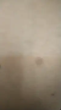 Snapshot of rohitlov150 chatting on February 2025 11:50:01 AM rohitlov150 online show from February 2025 11:50:01 AM