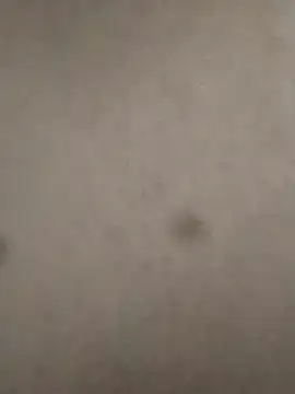 Snapshot of rohitlov150 chatting on February 2025 06:12:01 PM rohitlov150 online show from February 2025 06:12:01 PM