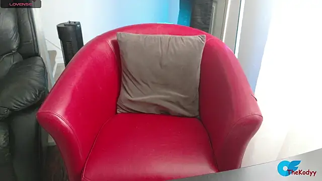 Thekodyy online show from February 2026 03:48:02 PM