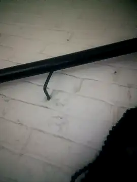 Shria107 online show from February 2026 11:49:02 PM