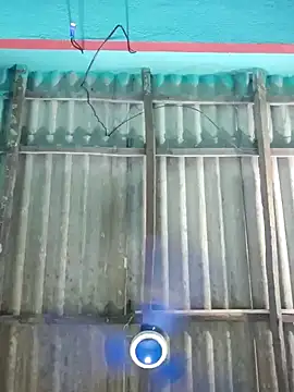 hotbaby 5 online show from September 2025 11:59:01 PM