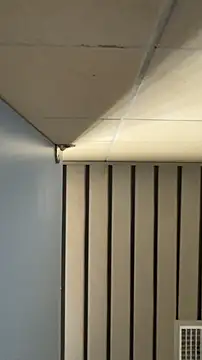 Snapshot of frnk30151 chatting on September 2025 03:02:02 PM frnk30151 online show from September 2025 03:02:02 PM