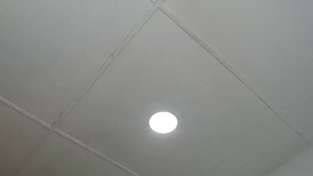 Snapshot of dannaberlin_0 chatting on March 2025 12:46:01 PM dannaberlin 0 online show from March 2025 12:46:01 PM