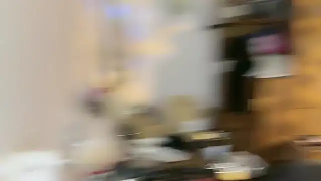 Snapshot of Fairy-HF chatting on December 2024 01:51:01 PM Fairy-HF online show from December 2024 01:51:01 PM