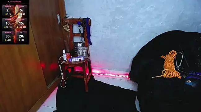 Snapshot of mysteery_katty_ chatting on December 2024 09:31:01 PM mysteery katty online show from December 2024 09:31:01 PM