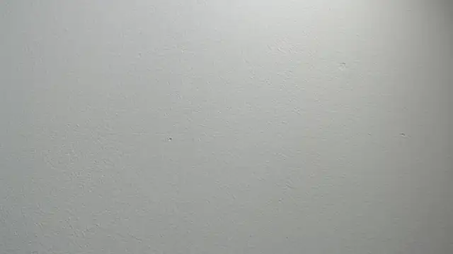 Snapshot of sussy_leon chatting on February 2025 12:16:01 PM sussy leon online show from February 2025 12:16:01 PM