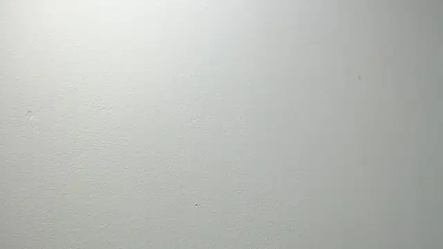 Snapshot of sussy_leon chatting on February 2025 12:15:02 PM sussy leon online show from February 2025 12:15:02 PM