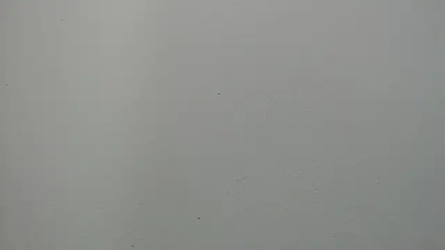 Snapshot of sussy_leon chatting on March 2025 01:02:01 PM sussy leon online show from March 2025 01:02:01 PM