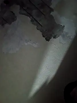 Snapshot of Jorgelopez4312 chatting on December 2025 03:49:02 AM Jorgelopez4312 online show from December 2025 03:49:02 AM