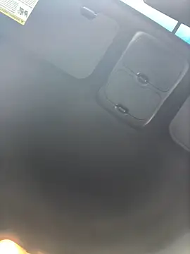 Snapshot of Watson4U chatting on December 2024 07:17:02 PM Watson4U online show from December 2024 07:17:02 PM