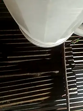 Huebolocko online show from February 2025 05:03:02 AM