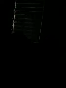 Rahul sub online show from March 2025 12:31:02 AM