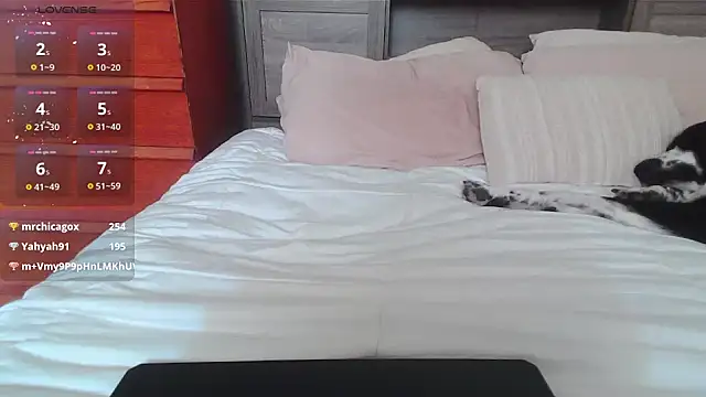 Snapshot of Kittyymaze1 chatting on January 2025 04:57:01 PM Kittyymaze1 online show from January 2025 04:57:01 PM