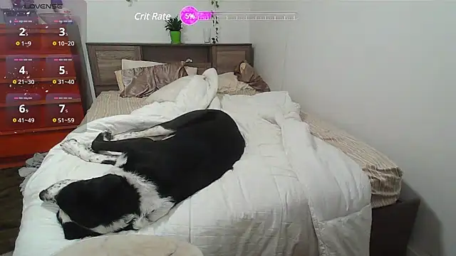 Snapshot of Kittyymaze1 chatting on February 2025 01:28:02 PM Kittyymaze1 online show from February 2025 01:28:02 PM