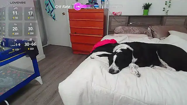 Snapshot of Kittyymaze1 chatting on March 2025 02:32:01 PM Kittyymaze1 online show from March 2025 02:32:01 PM