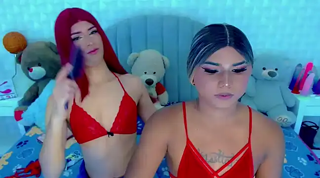 Snapshot of party_duo_trans chatting on February 2025 04:09:02 PM party duo trans online show from February 2025 04:09:02 PM