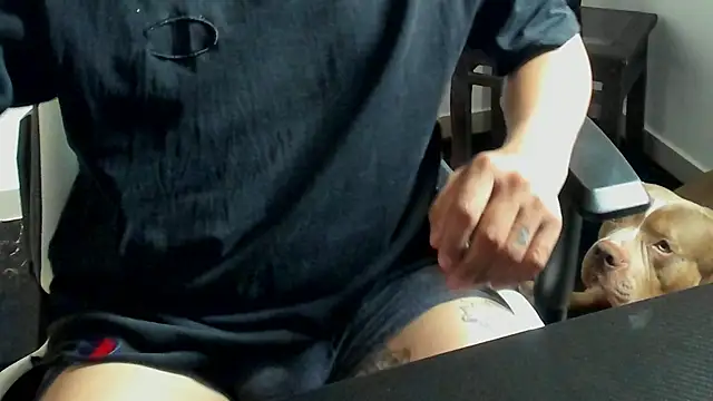 Snapshot of stebankechima chatting on October 2025 12:38:01 PM stebankechima online show from October 2025 12:38:01 PM