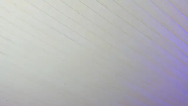 Ammy nova online show from December 2025 07:53:01 PM