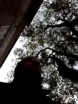 openlegsforyou online show from November 2025 10:03:01 AM