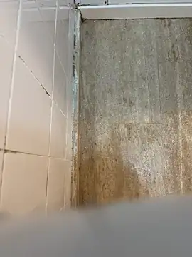 Snapshot of reelciii21 chatting on March 2025 12:58:02 AM reelciii21 online show from March 2025 12:58:02 AM