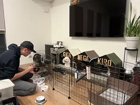 kensnb online show from October 2025 09:32:01 AM