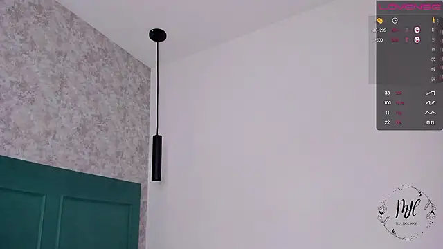 Snapshot of shysweets chatting on December 2024 11:38:01 AM shysweets online show from December 2024 11:38:01 AM