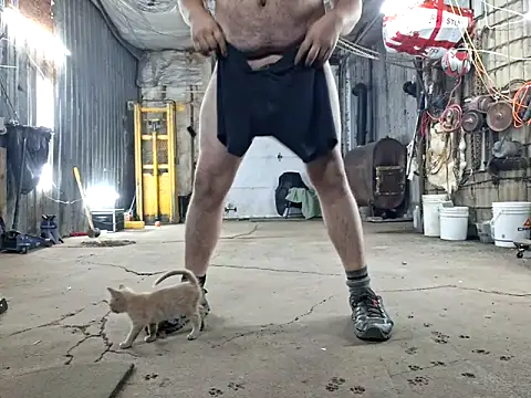 Snapshot of Frankdick01 chatting on November 2025 04:12:02 AM Frankdick01 online show from November 2025 04:12:02 AM